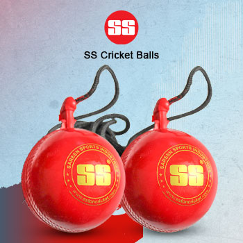 SS Cricket Balls