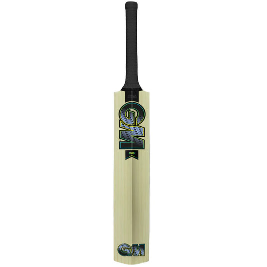 Gunn And Moore Aion Kashmir Willow Bat