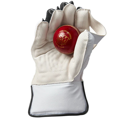 Gunn And Moore Aion Wicketkeeping Gloves