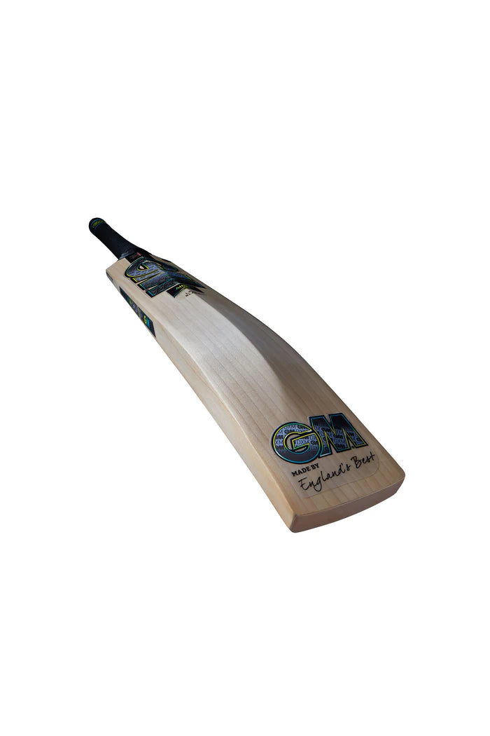 Gunn And Moore Aion DXM Signature Cricket Bat