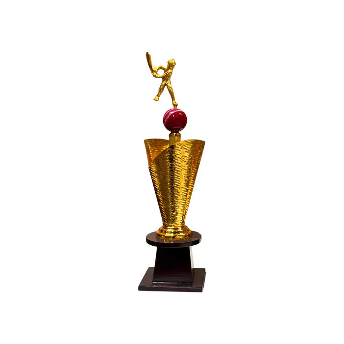 All-Rounder Cricket Trophy