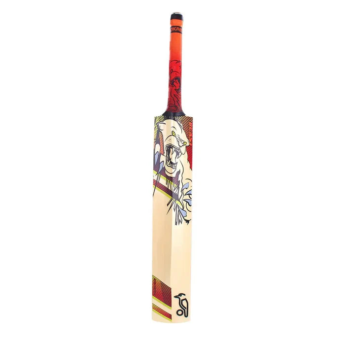 Kookaburra Beast 9.1 Kashmir Willow Junior Cricket Bat