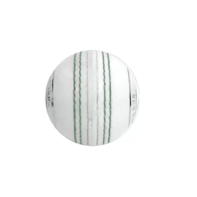 Cricket Ball Hard Plastic (Practice Ball)