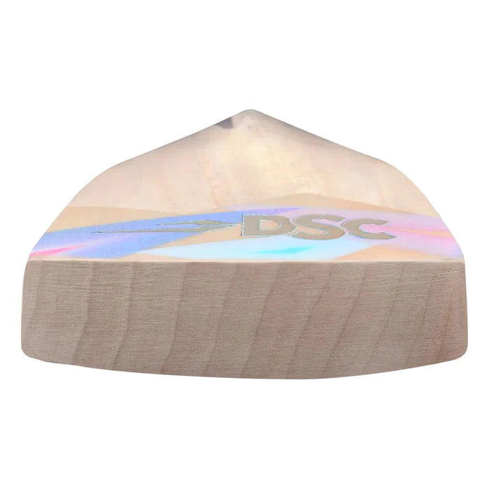 DSC Condor Motion English Willow Cricket Bat