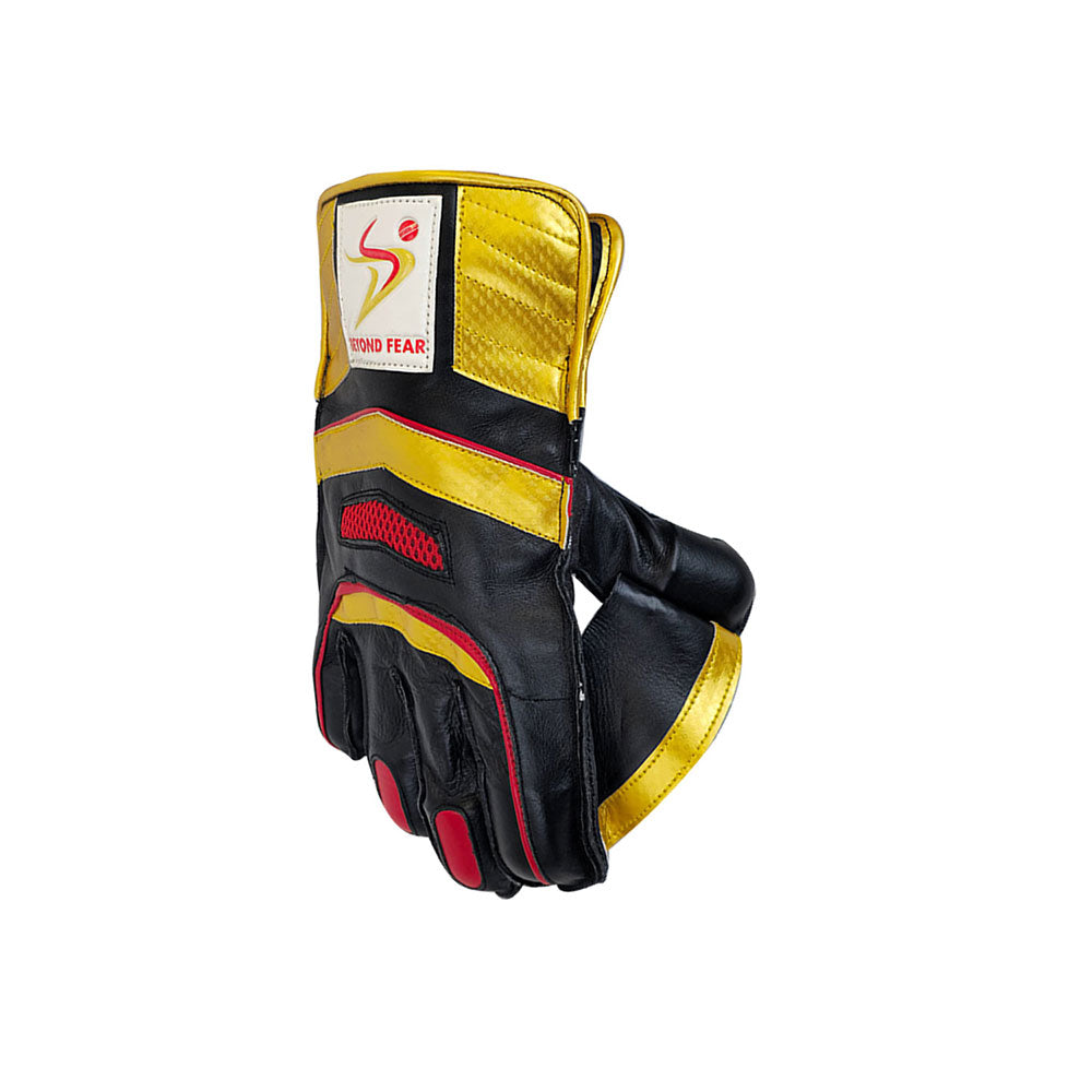 DS 1.0 Wicket Keeping Gloves Youth