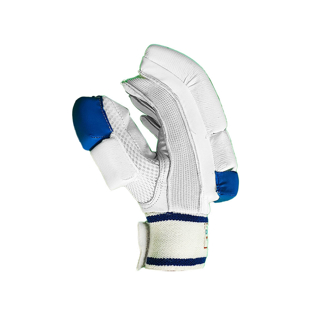 DS Sports Blue/White 1.0 Batting Gloves Junior