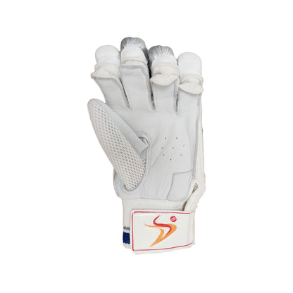 DS Sports D 1.0 Batting Gloves Youth (Silver/Blue)