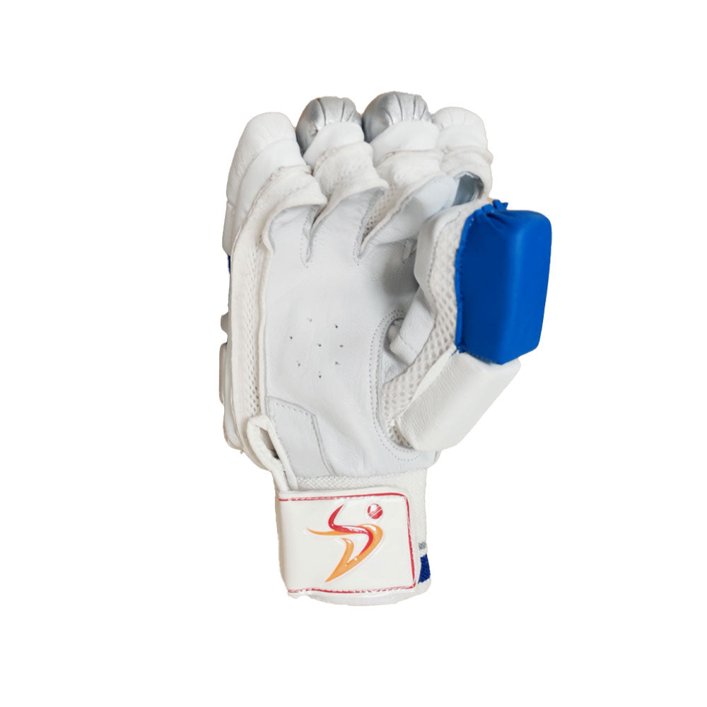 DS Sports D 1.0 Batting Gloves Youth (Silver/Blue)