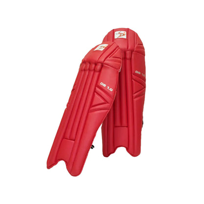 DS Sports 1.0 Wicket Keeping Pads