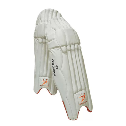 DS Sports 1.0 Junior Batting Pads