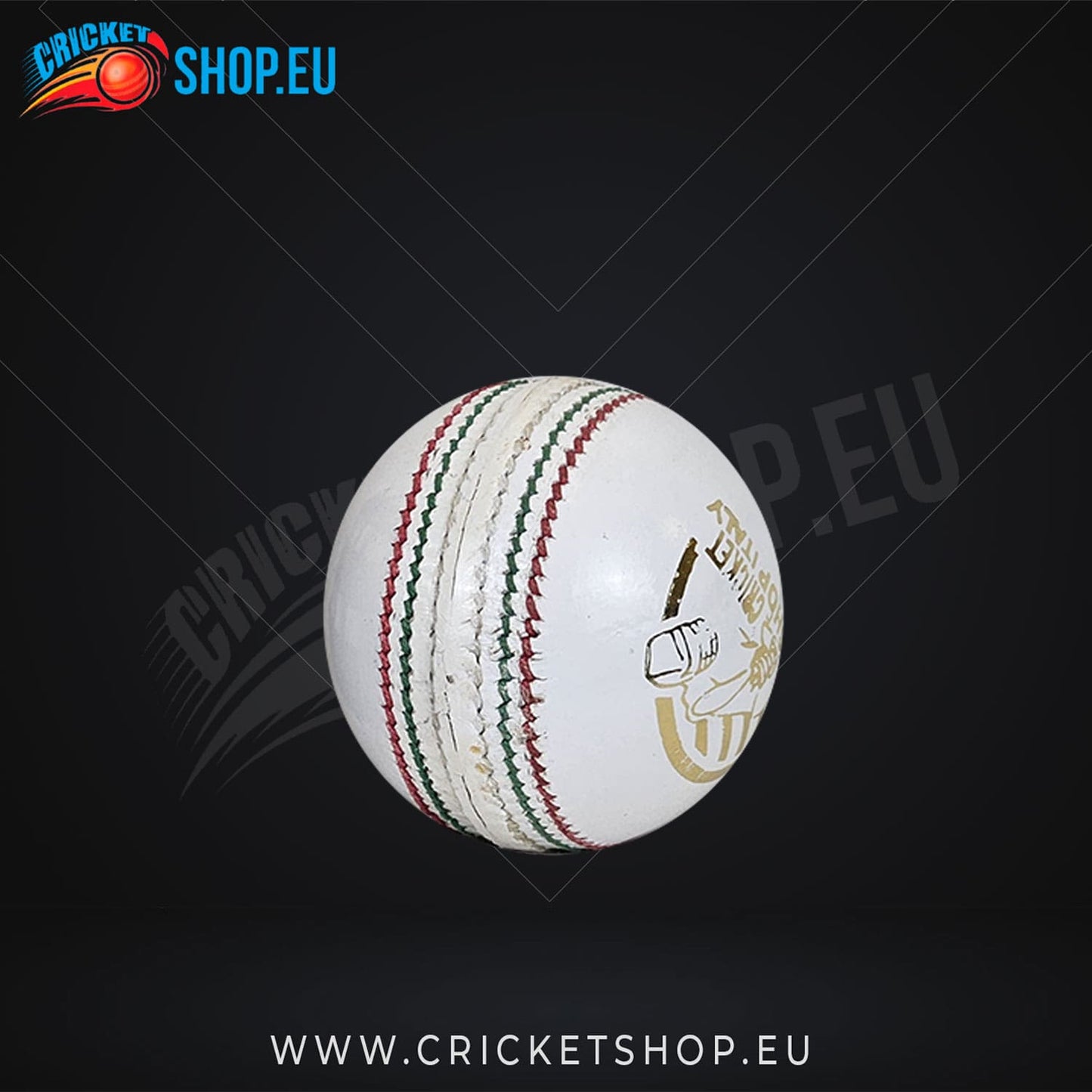 DS Indoor Cricket Ball White