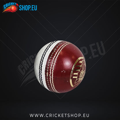 DS Practice Red/White Cricket Ball