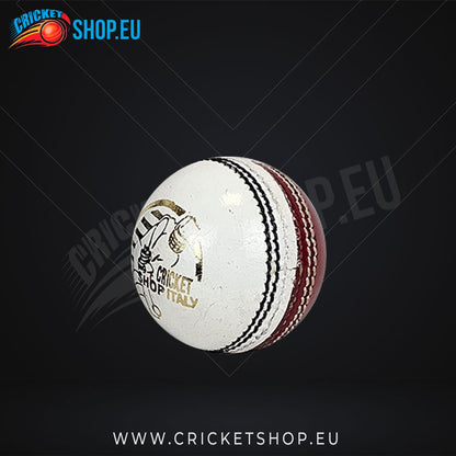 DS Practice Red/White Cricket Ball