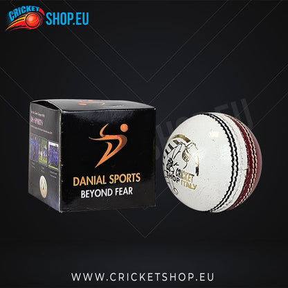 DS Practice Red/White Cricket Ball