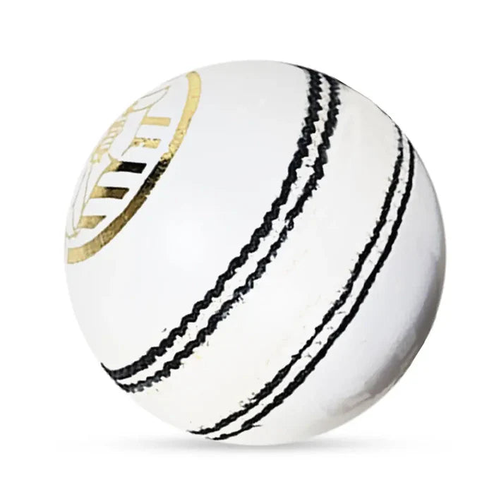 DS D1 Alum Leather Cricket Ball