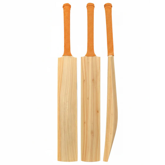 DS 1.0 Kashmir Willow Cricket Bat