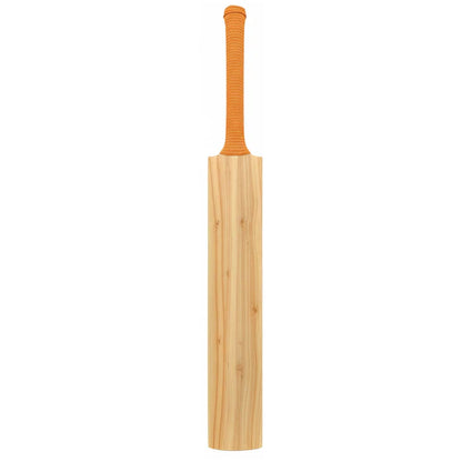 DS 1.0 Kashmir Willow Cricket Bat