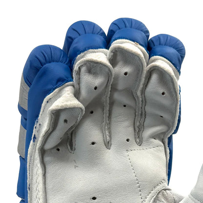 DS T/20 Limited Edition Batting Gloves Blue