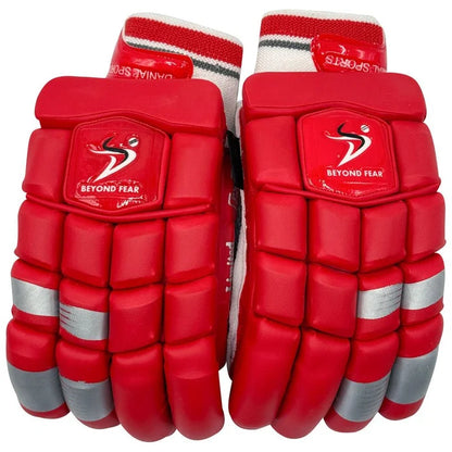 DS 1.0 Cricket Batting Set Red