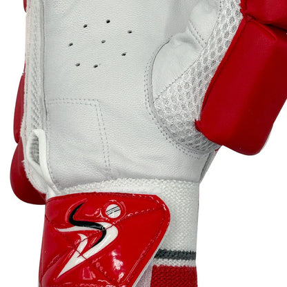 DS T/20 Limited Edition Batting Gloves Red
