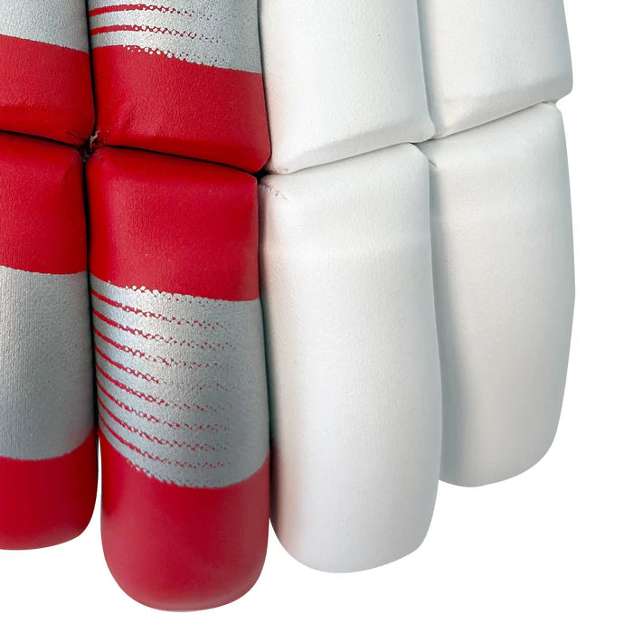 DS 1.1 L.E Batting Gloves White/Red