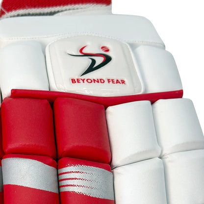DS 1.1 L.E Batting Gloves White/Red