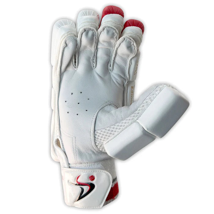 DS 1.1 L.E Batting Gloves White/Red