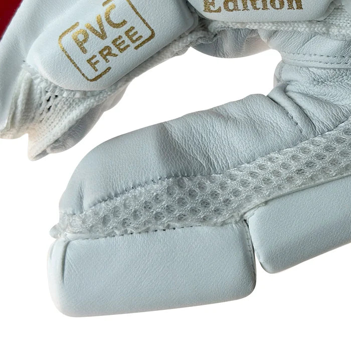 DS 1.1 L.E Batting Gloves White/Red