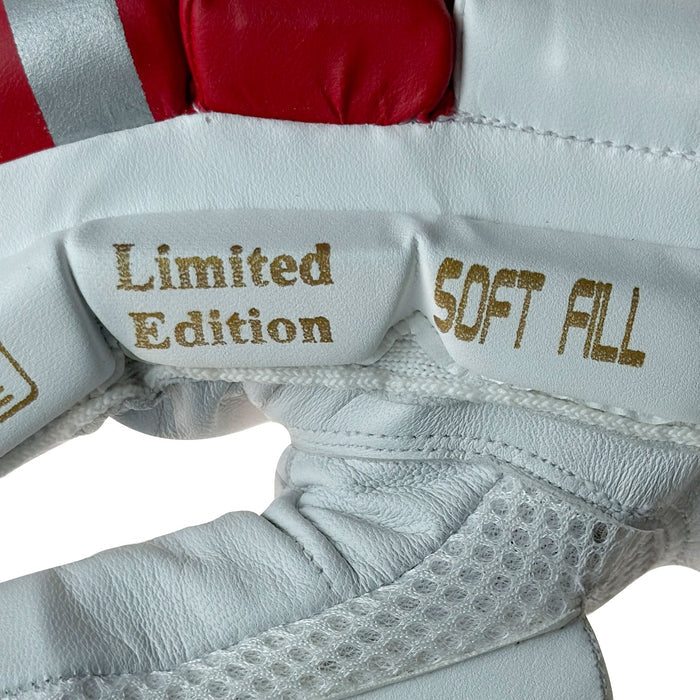 DS 1.1 L.E Batting Gloves White/Red