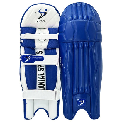 DS 1.0 Cricket Batting Set Blue