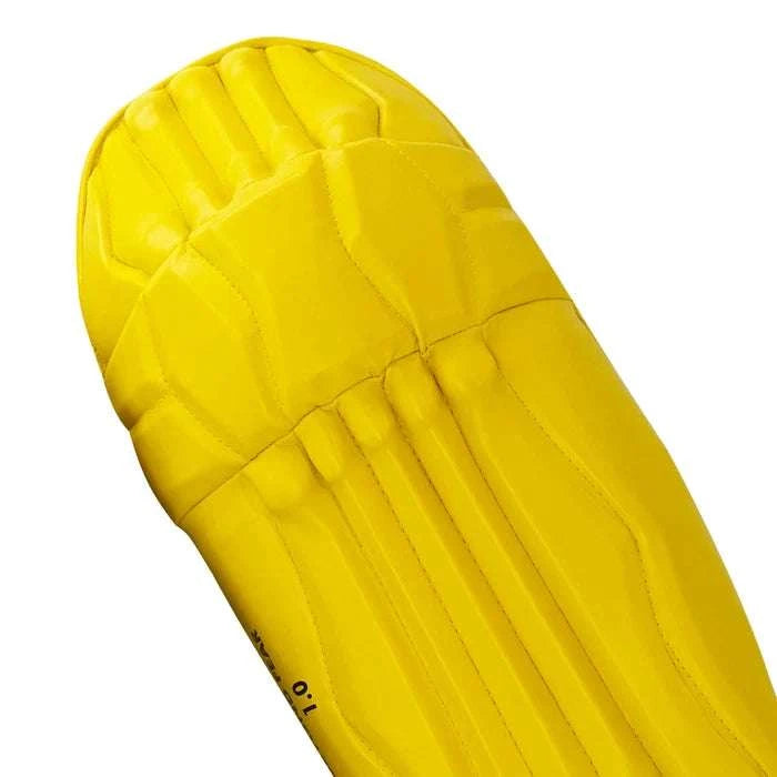 DS T/20 Cricket Batting Pads Yellow