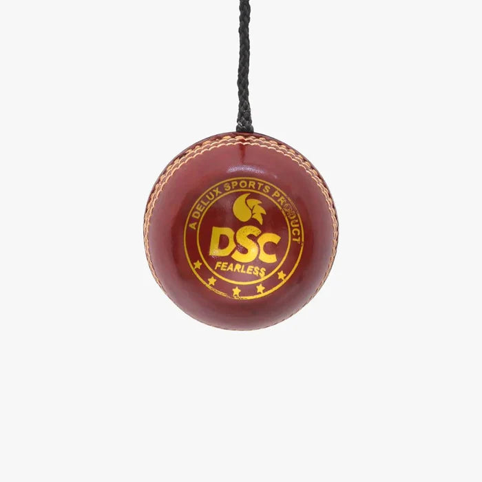 DSC Hanging Leather Cricket Ball