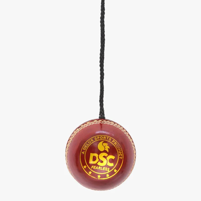 DSC Hanging Leather Cricket Ball