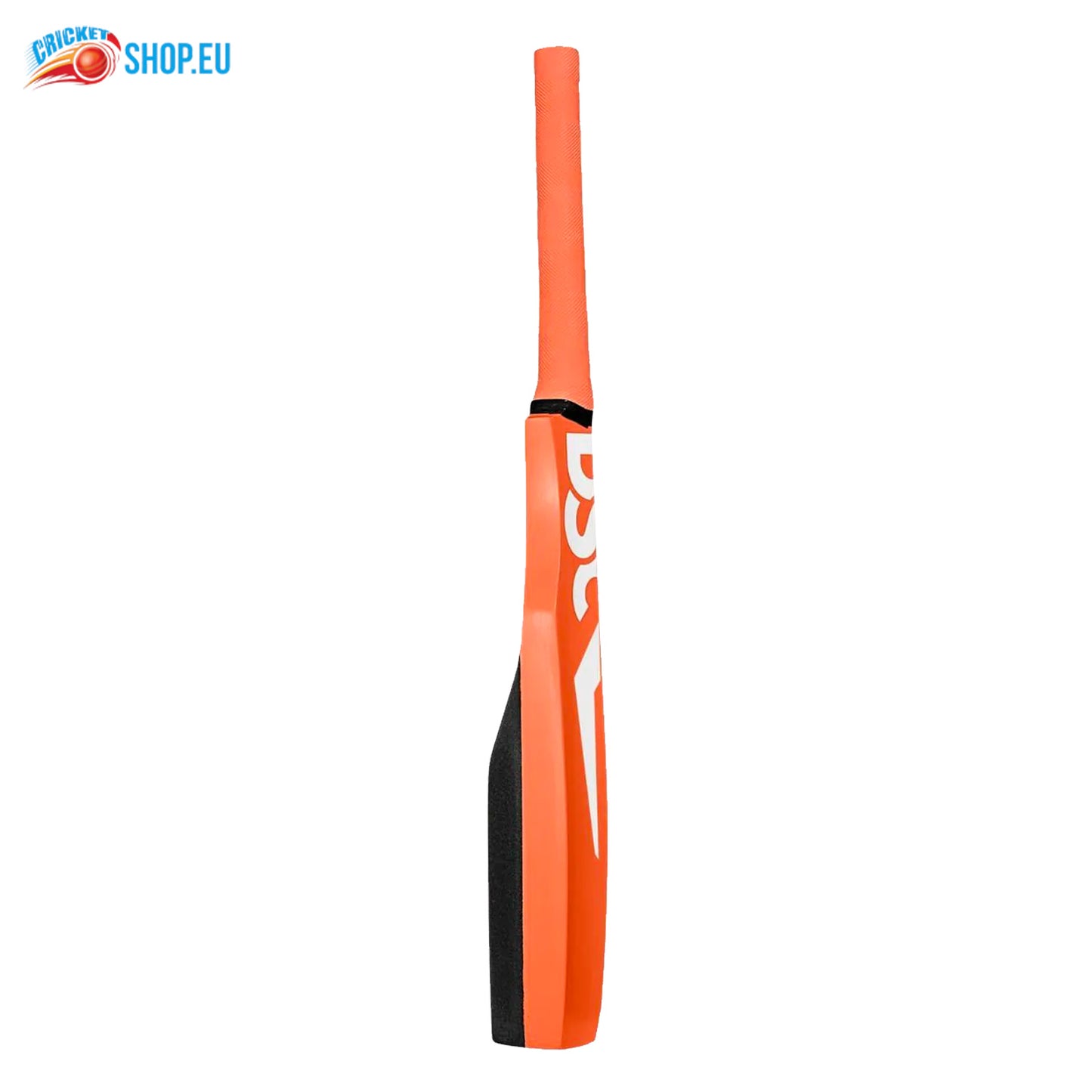 DSC Catching Cricket Bat