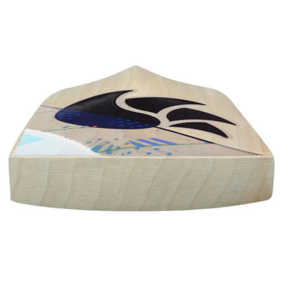 DSC Condor Atmos English Willow Cricket Bat