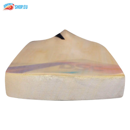 DSC Condor Scud Kashmir Willow Cricket Bat