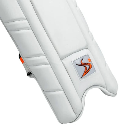 DS Sports Cricket Batting Pads Youth