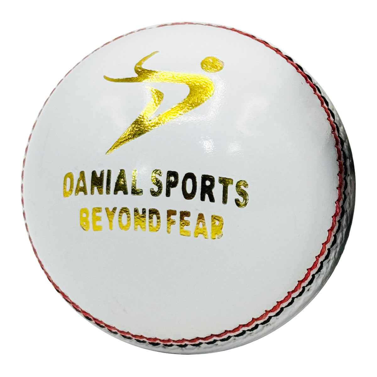 DS Indoor Cricket Ball (Pack of 6)