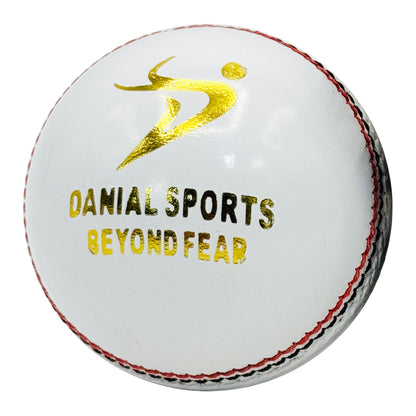 DS Indoor Cricket Ball (Pack of 6)