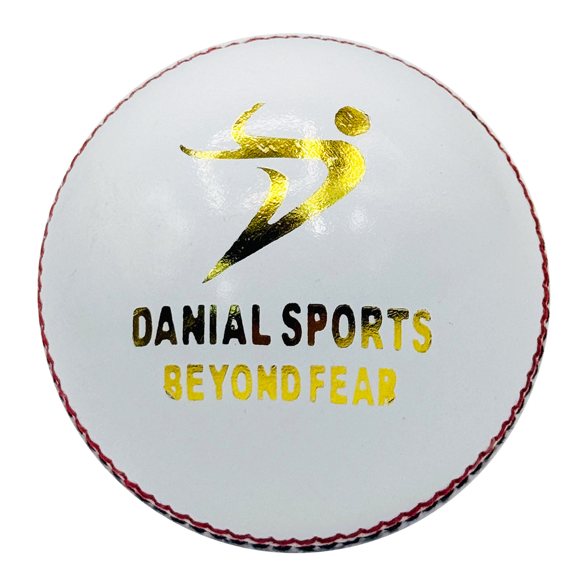 DS Indoor Cricket Ball (Pack of 6)