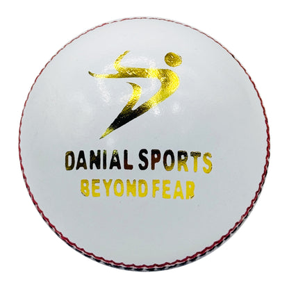 DS Indoor Cricket Ball (Pack of 6)