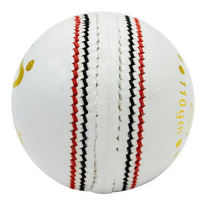 DS Indoor Cricket Ball (Pack of 6)