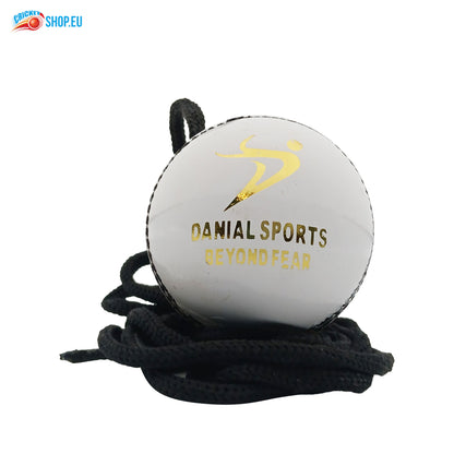 DS Hanging Cricket Ball