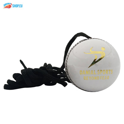 DS Hanging Cricket Ball