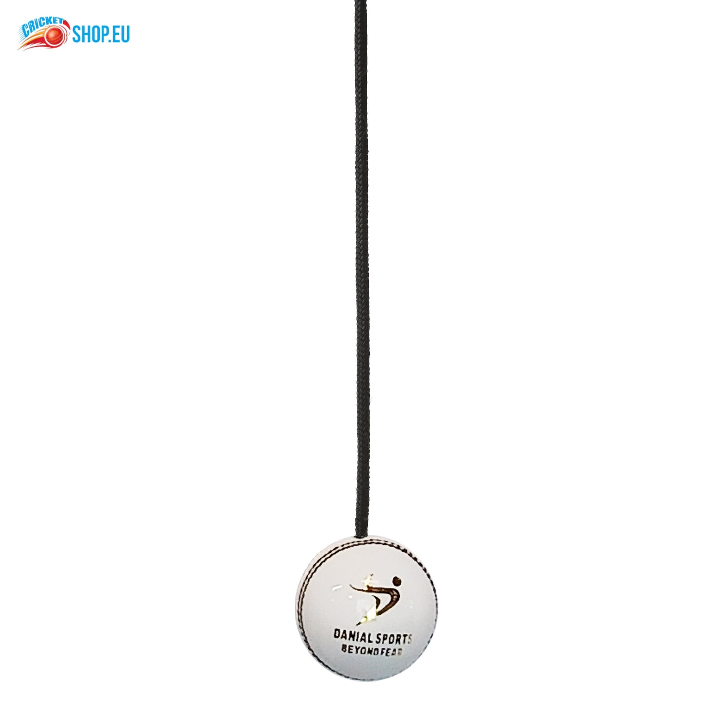 DS Hanging Cricket Ball