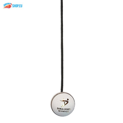 DS Hanging Cricket Ball