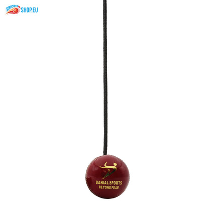 DS Hanging Cricket Ball
