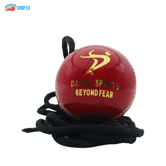 DS Hanging Cricket Ball