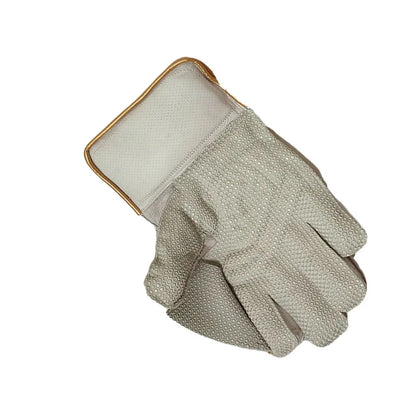 DS Sports Wicket Keeping Gloves