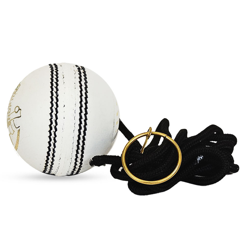 DS Hanging Cricket Ball